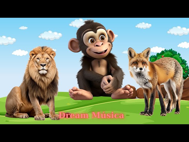 Animal Sound Collection: Lion, Chimpanzee, Fox, Monkey, Flamingo - Animal Videos