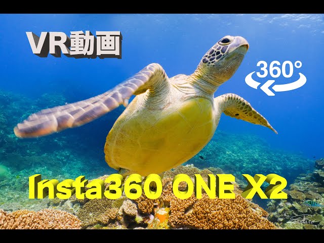 【VR動画】石垣島の海をVR動画でダイビング【これがフルダイブダイビング】