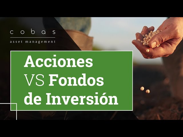 Acciones vs. Fondos de inversión, ¿qué opción es mejor?