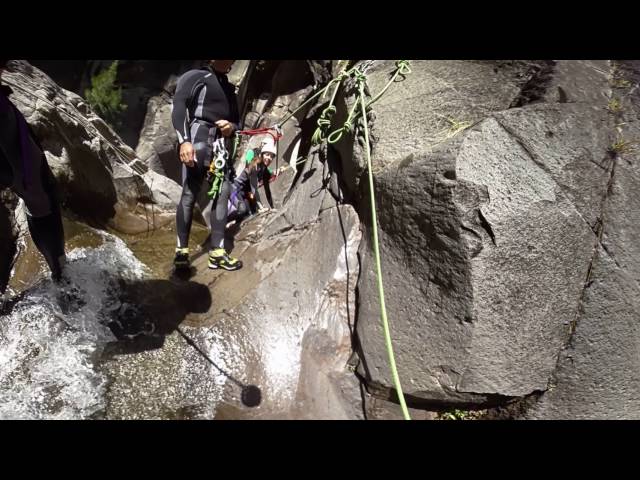 Fleur Jaune Canyoning Reunion Island