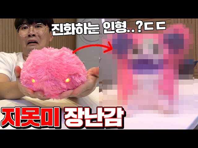 역대급 지못미 장난감 6종리뷰!! (3단 진화하는 인형..?) [꾹TV]