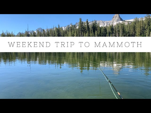 Weekend trip to Mammoth