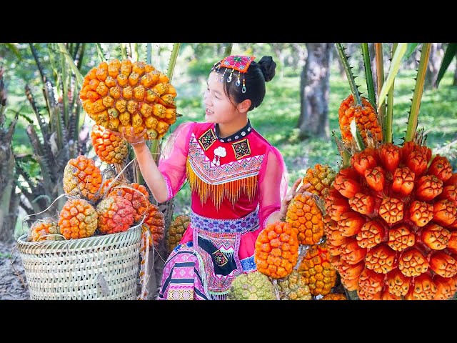 3 Days Harvesting Red Forest Pineapple Go to the market to sell - Farming | Tieu Tam Daily Life