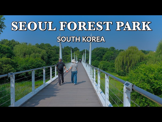 A Peaceful Walk in Seoul Forest Park | Relaxing Nature Ambience Sounds | 4K HDR South Korea