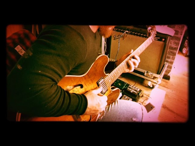 Prescription Electronics Facelift.Doyle Bramhall II Tones.