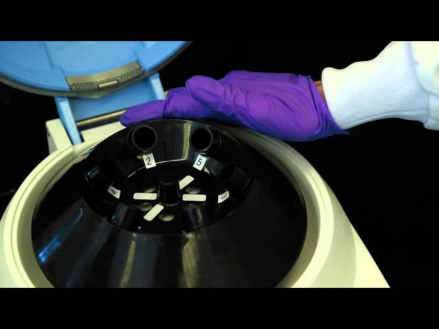 How to Use a Centrifuge