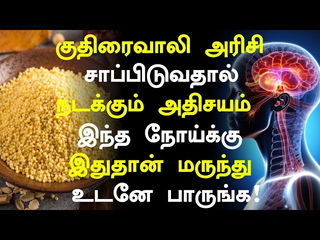 குதிரைவாலி அரிசி மருத்துவ நன்மைகள்!|Barnyard Millet Benefits in Tamil|Kuthiraivali Health Tips Tamil