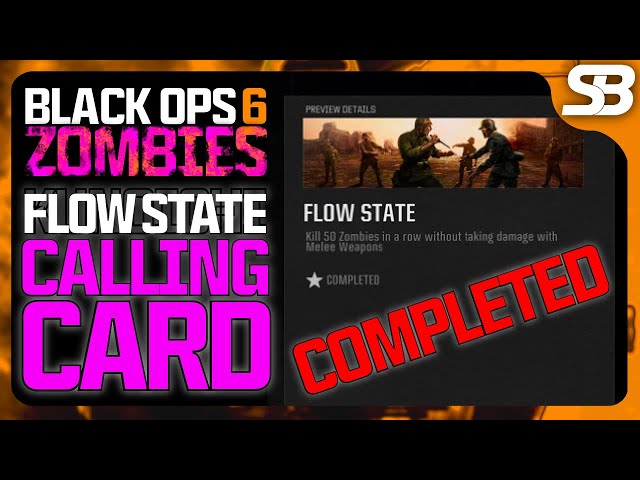 BO6 Flow State Calling Card (Black Ops 6 Zombies Flow State Calling Card)