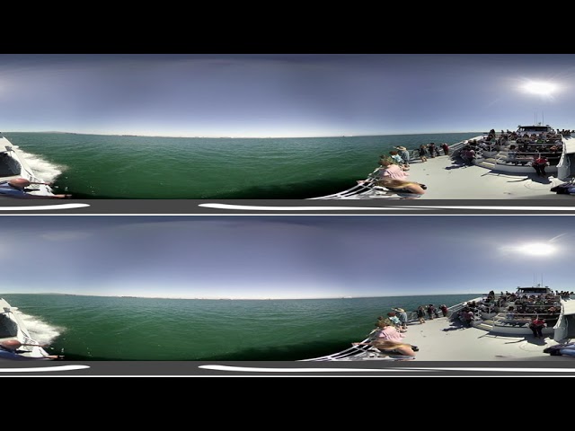 Long Beach whale watching cruise - Part 1 (3D 360 VR)