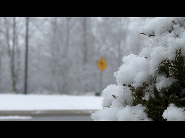 🔴 Live PA IRL Storm Chaser - Pennsylvania Chaser - Heavy Snow Storm