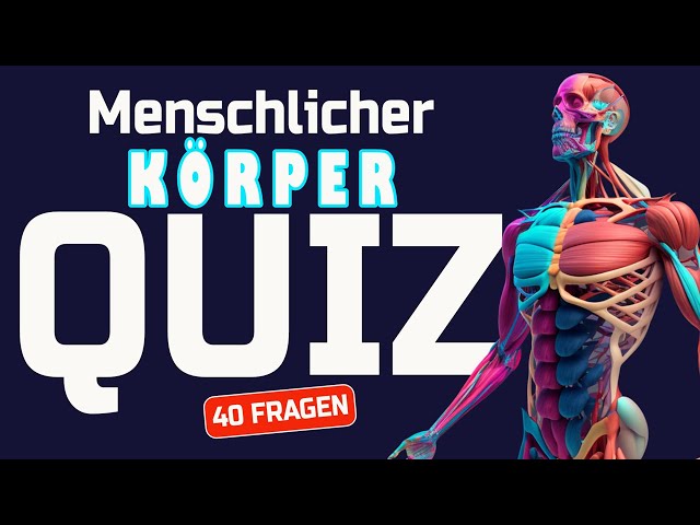 Allgemeinwissen Körper - Der Menschliche Körper Quiz | 40 Fragen zu Medizin und Gesundheit