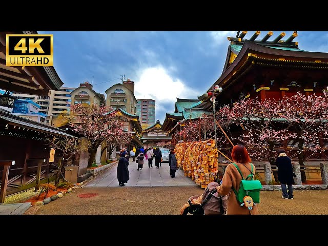 【4K JAPAN】Yushima Shrine to Ueno Park Tokyo,  Beautiful walk