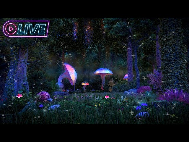 24/7 Enchanted Forest Night Ambience ✨🍄 Mystical atmosphere, calming nature sounds & occasional rain