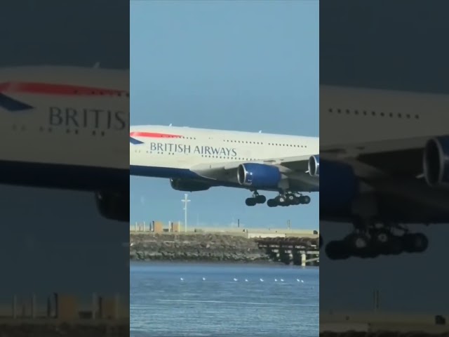 Landing 🇬🇧 British Airways | San Francisco International Airport #aviationlovers