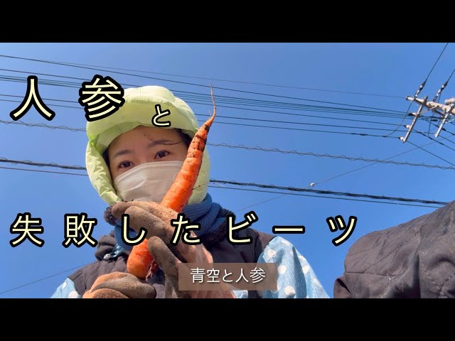 続・ゆるゆる冬畑。成長しない野菜たち…#畑セラピスト #無農薬野菜 #畑づくり #畑初心者 #家庭菜園