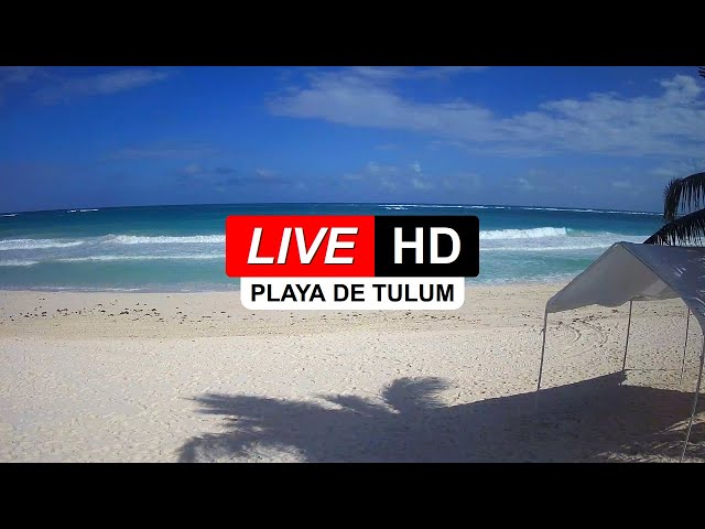 Live Webcam Tulum Beach 🏖️  Yucatan ☀️ Mexico 🌎 🅻🅸🆅🅴