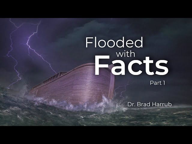 Origins: Flooded with Facts pt.1