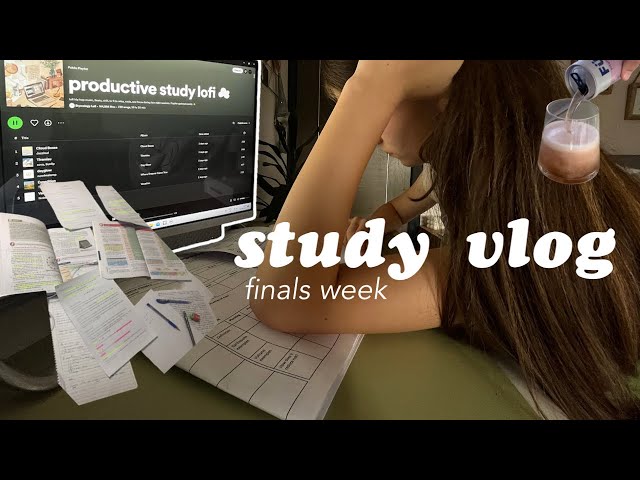 CHILL STUDY VLOG ☁️📑| study with me for final exams! aesthetic music & cramming revision