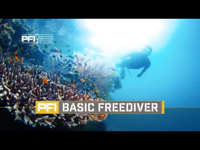 Basic Freediver Course - Performance Freediving International - PFI