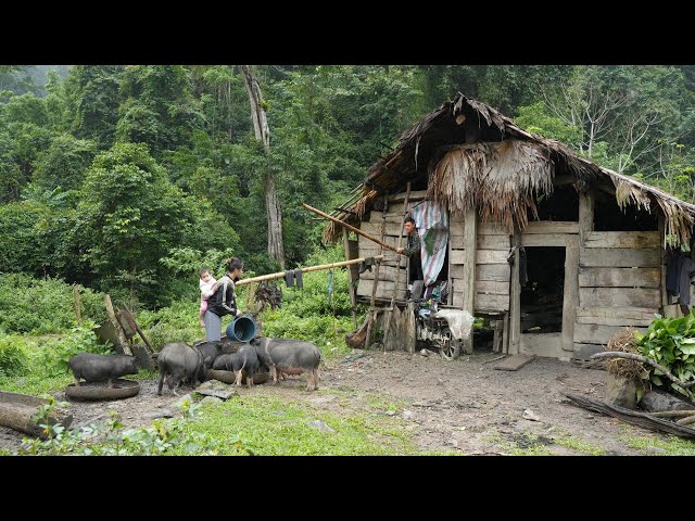 Restore a Single Mom Abandoned Farm: Clean up the garden | EP 01