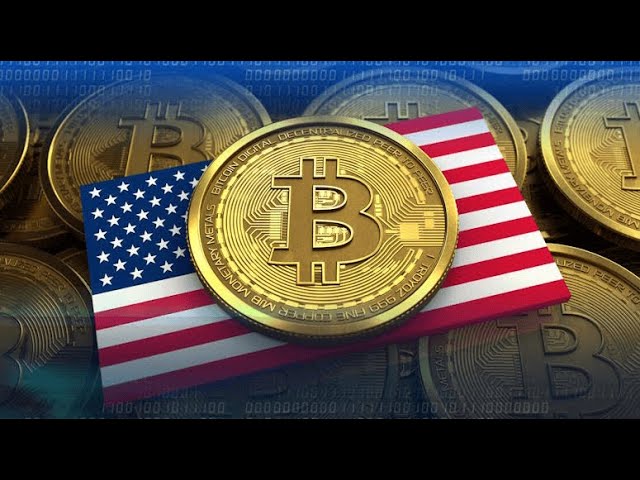 How to Report a Crypto Scam in the USA in 2025