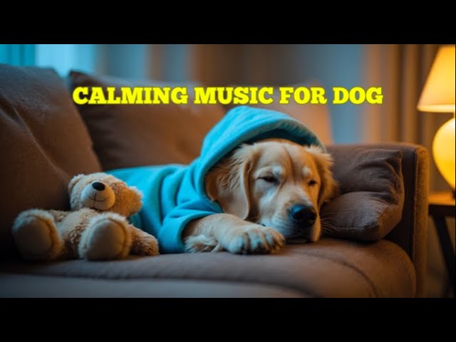 12 Hours of Soothing Music for Dogs 🐕 Perfect for Separation Anxiety Relief