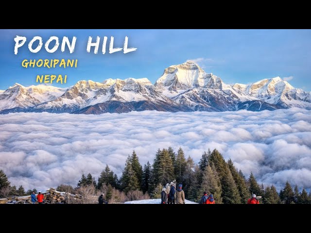 Poon Hill  Nepal / The Ghorepani Poon Hill Trek 4k Cinematic Film #nepal