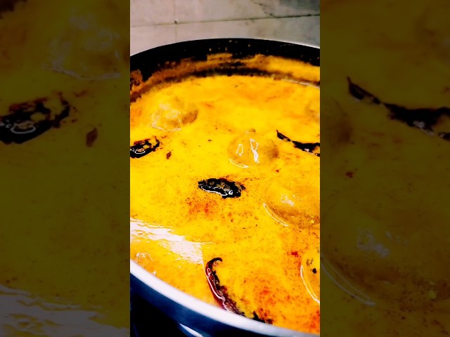 Kadhi recipe #shorts#cooking#INDIAN CURRY #food#recipe#youtube shorts #yt studio