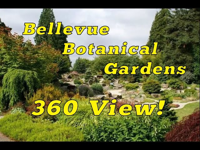 Bellevue Botanical Gardens 360