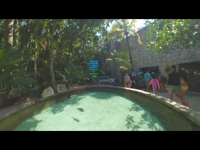 Peces | Xcaret VR  #46