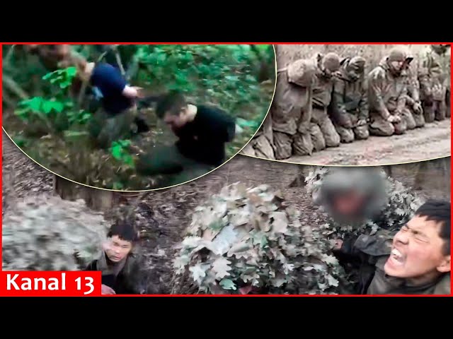 Compilation video of Kursk operation, capture of Russian and North Korean soldiers