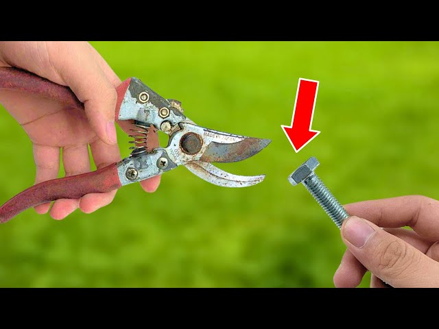 Few Know This Easy Trick to Sharpen Pruning Shears Razor Sharp! 😱