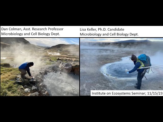 Cross-feeding dynamics between dominant microbial populations in Yellowstone & Icelandic hot springs