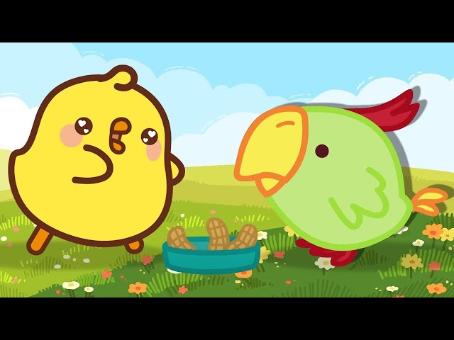 Molang and Piu Piu - THE PARROTS | Cartoons For Children | Cartoon Crush