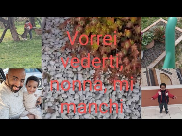 Vorrei vederti, nonna, mi manchi @bennylove #watcheveryone #ragazzi #viralvideo #everyone