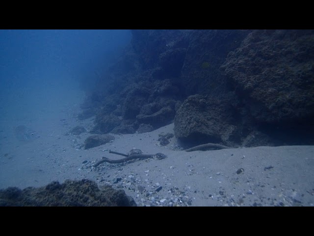 2018-01-22 dive tweed river Drift