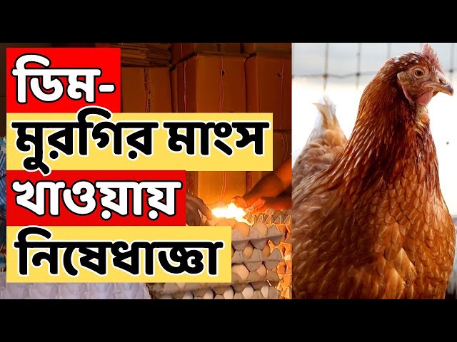 Bird Flu News Live: অন্ধ্র থেকে মহারাষ্ট্র, ক্রমশ ছড়াচ্ছে বার্ড ফ্লুর সংক্রমণ। সতর্কতা পশ্চিমবঙ্গেও