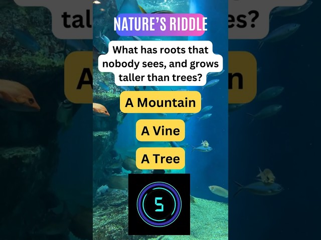 Can You Solve These Fun Riddles? 🤔 | Try It Now