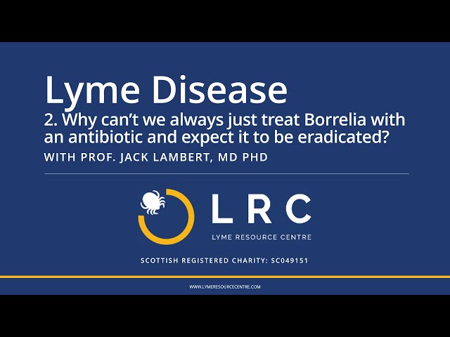 Lyme Disease - Small Bites for GPs 2: Why can’t we expect to eradicate Borrelia with antibiotics?