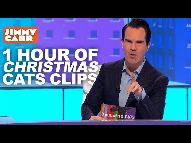 1 Hour of Christmas Cats Clips | Jimmy Carr