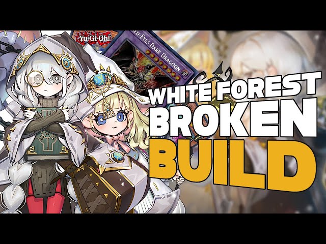 White Forest Dragoon: Mastering the Meta (Yu-Gi-Oh Master Duel)