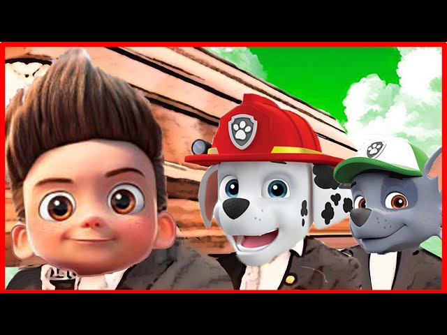 PAW PATROL ( BEST Holiday Rescues) - Coffin Dance Song Meme Cover