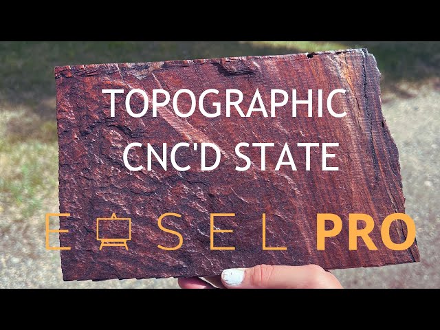 How to CNC a 3d model in Easel / Topographical State