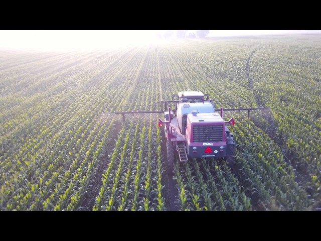 Tom Farms Seed Corn Production