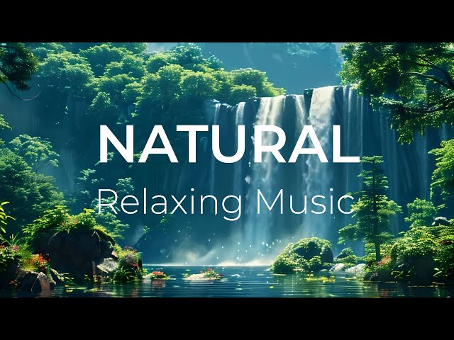 Relax music , Relaxing piano music , Natural sound , Deep focus Study