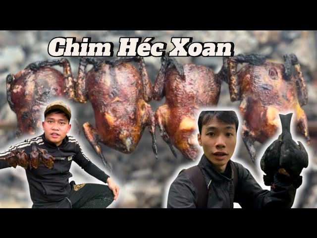 sinh tồn trong rừng kiếm mồi và đặc sản chim rừng nướng cả con | Survive in the jungle in Vietnam