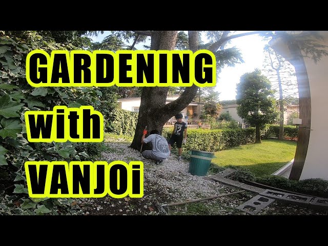 Gardening with Vanjoi