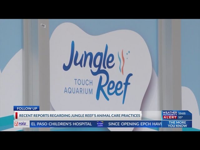 Jungle Reef reports raise animal wellbeing concerns