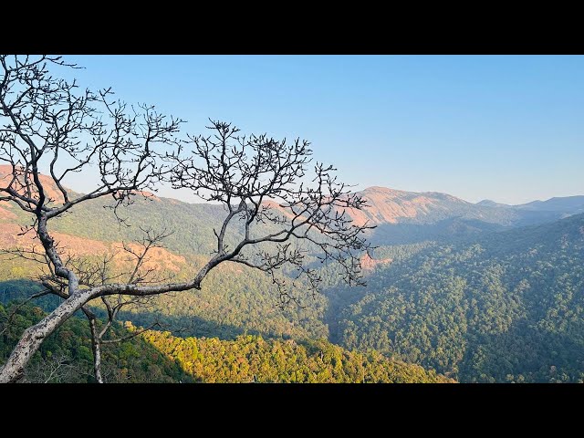 Sakleshpura - Western Ghats | Scenic Views, Waterfalls & Coffee Plantations, Resort | 2025