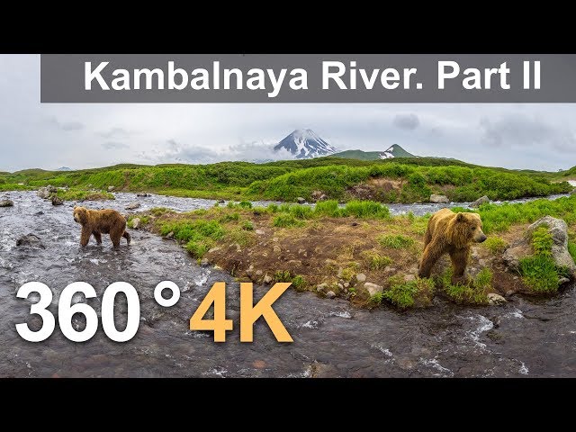 360°, Kambalnaya River. Part II. 4К aerial video